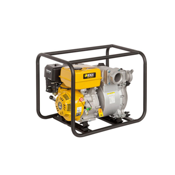Motobomba BX 300T